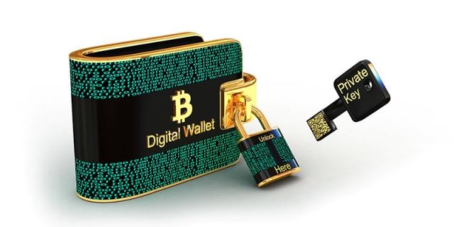 Crypto Wallet Guide : Know About Crypto Wallets In Brief